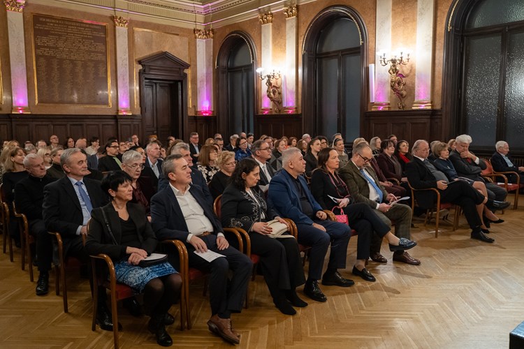 Slika Diplomatic SOCIETY/ Karakan